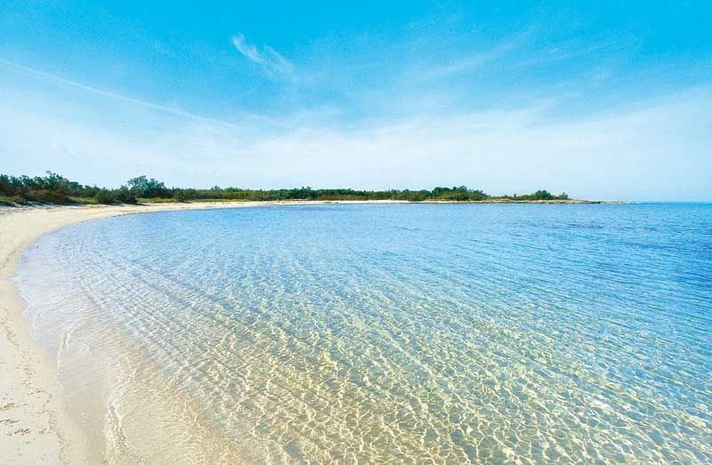 B&B Viale Dei Pini Castellaneta Marina Kültér fotó