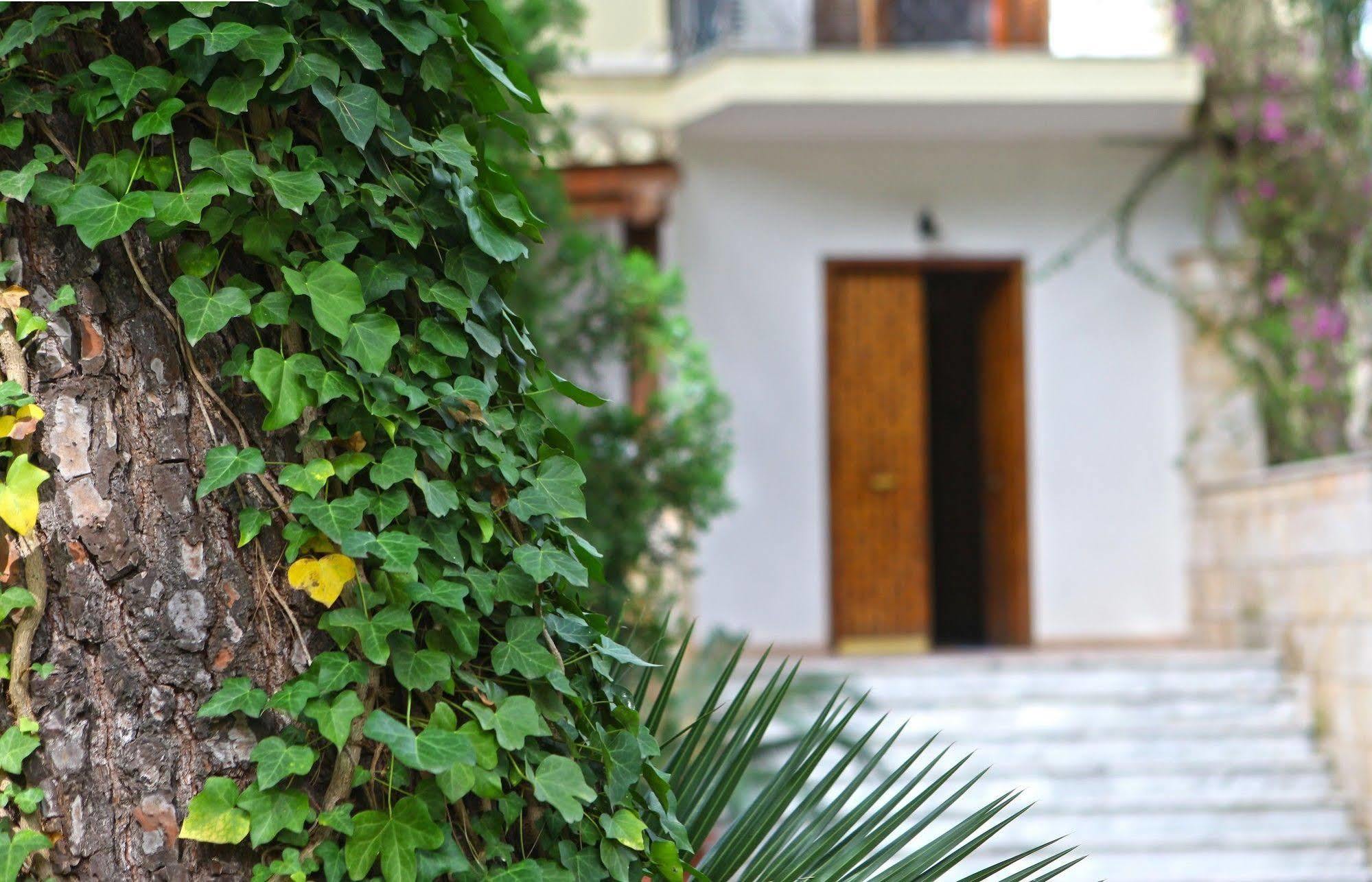 B&B Viale Dei Pini Castellaneta Marina Kültér fotó